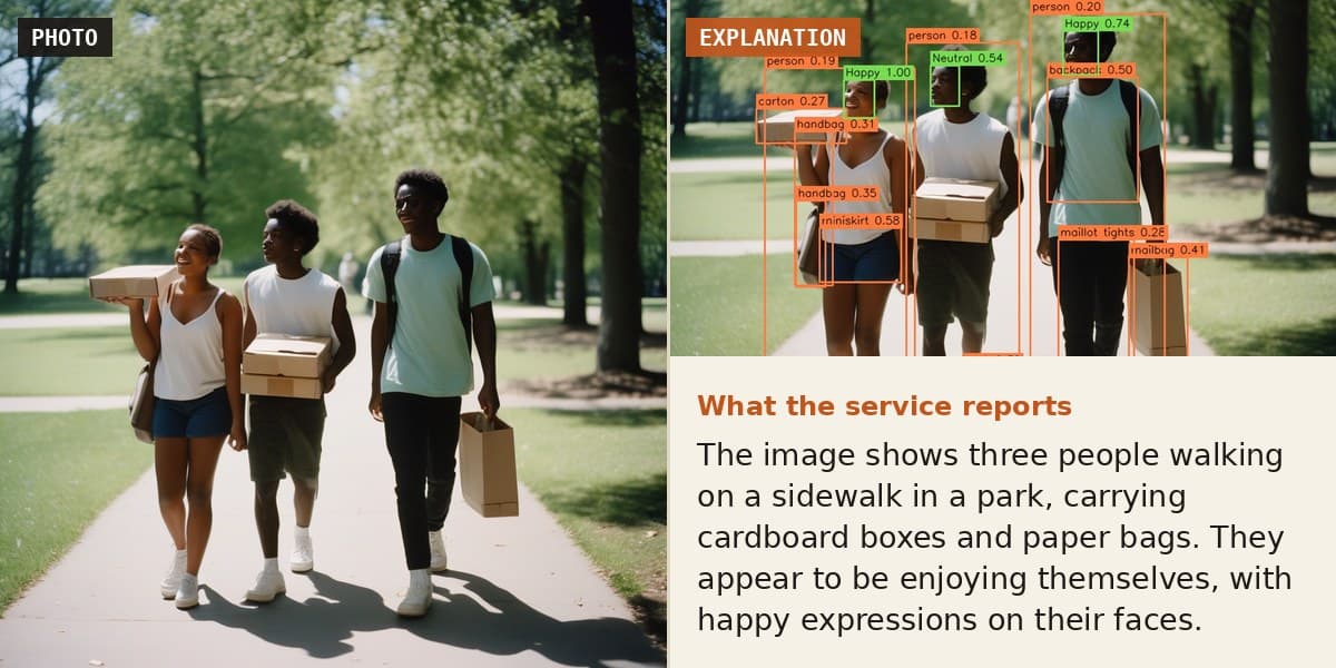 Example Photo Analyzer & Explainer result: the input on the left and what the service returns on the right